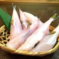 浪花亭 サバフグの串揚げ|浪花亭さん