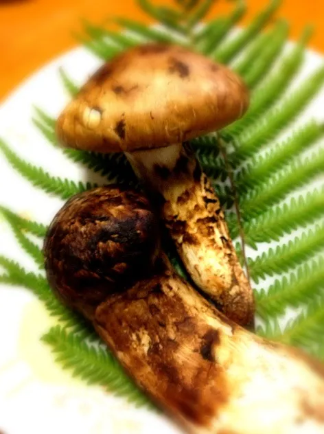 Snapdishの料理写真:Matsutake|こまるさん