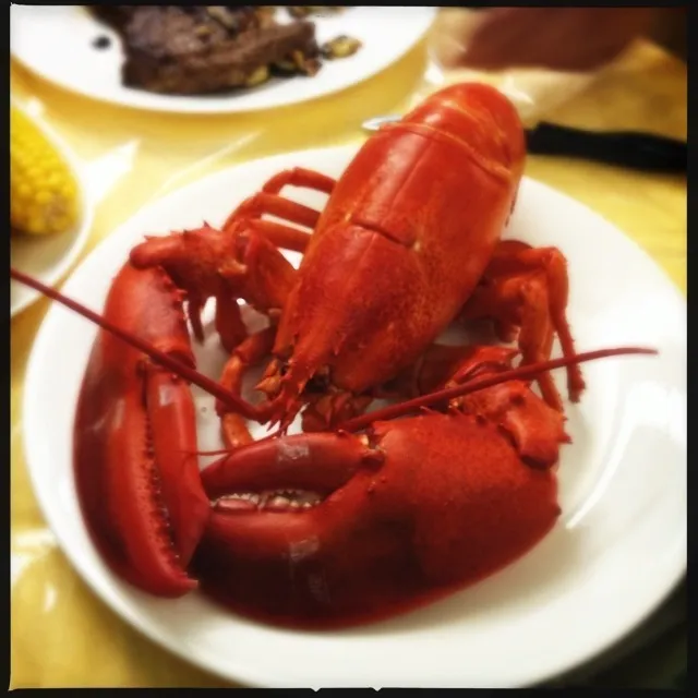 Steamed Lobster|stephanie mizuhaさん