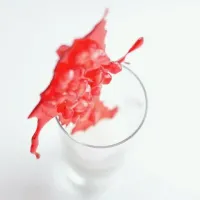 Creative food decoration|bazziさん