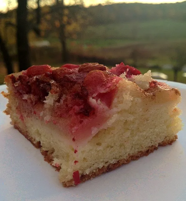 Pear cranberry almond cake|Dean M Rogersさん