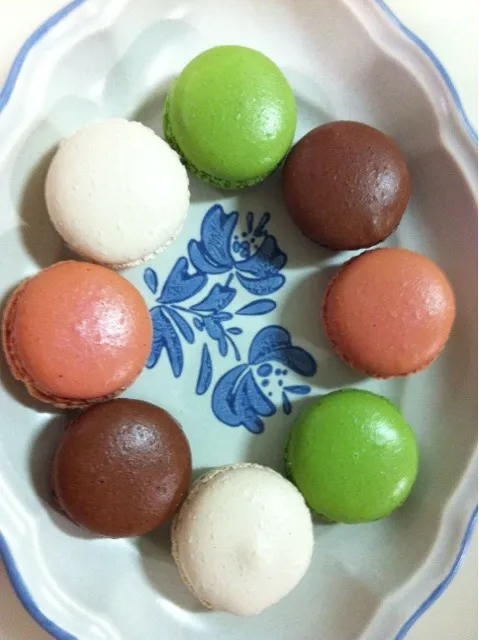 Macarons|Lesley Kimさん