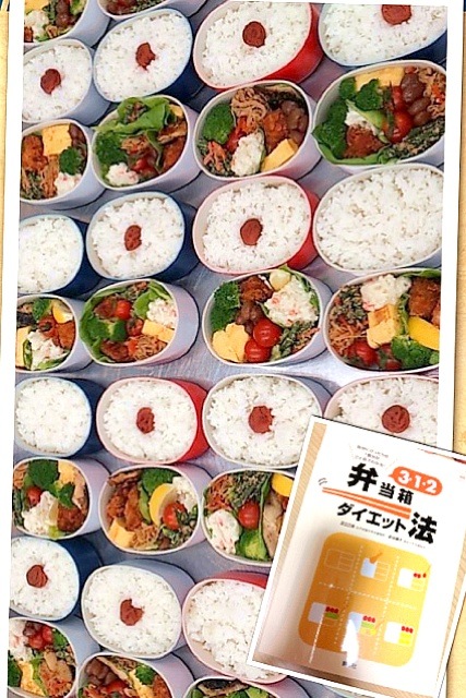 記念碑的な なぞらえる 南方の 312 お 弁当 箱 法 ストラップ ブランド名 楽しませる