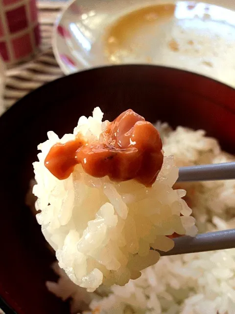 シンプルに塩からご飯(*´ω`*)|とみーさん