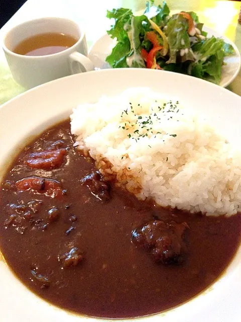 Snapdishの料理写真:煮込み牛すじカレー|michiteruさん