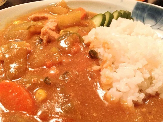 久しぶりに冬瓜を見つけたのでつい、つい買っちゃいました！豚肉と冬瓜のカレー！|松浦有里さん