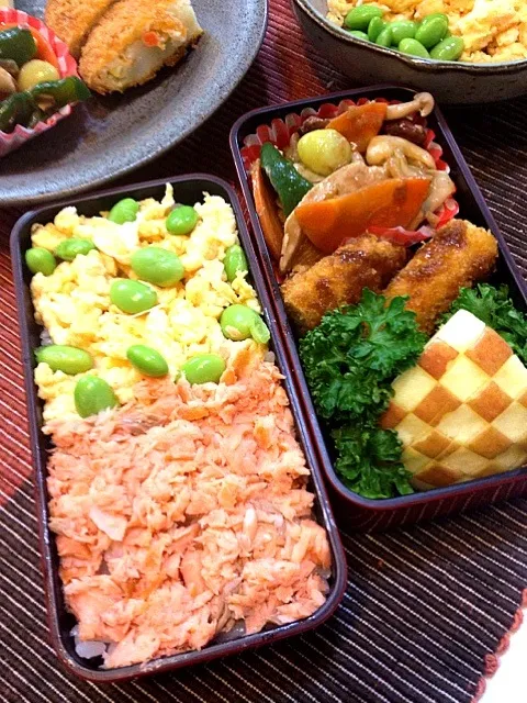 Snapdishの料理写真:彩りご飯と肉野菜炒めのお弁当|かずさん