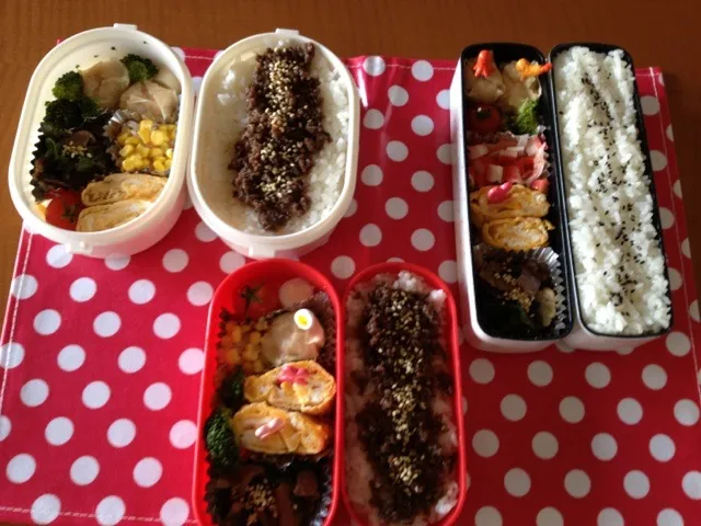 今日の3人分弁当  自分＆姉＆父用|りすなさん