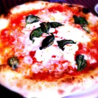 pizza margherita