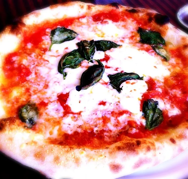 pizza margherita|wbgさん