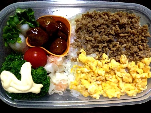 10/24パパ弁当！|Mickiさん