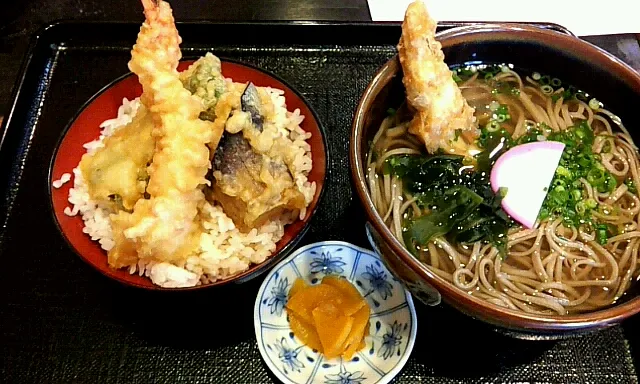 Snapdishの料理写真:ごぼう天蕎麦＋ミニ天丼|直樹さん