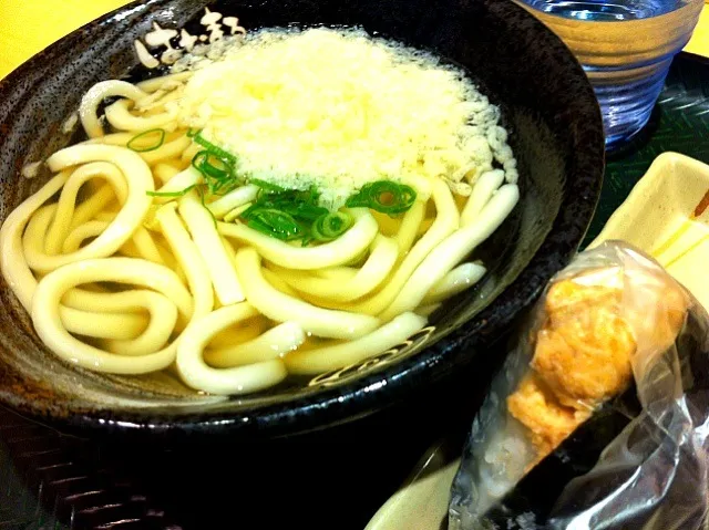 かけうどん(小)、鮭おにぎり。|liccaさん