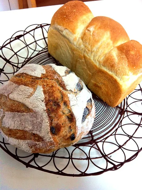 今朝、遠足弁当とともに格闘した食パンとドライフルーツのカンパーニュ。やっぱ、天然酵母で作ると美味しい！|ともこさん