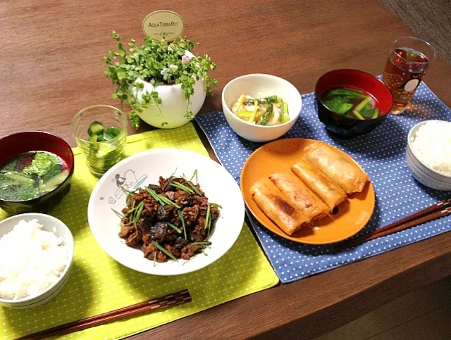 春巻、茄子と鶏ミンチの甜麺醤炒め、青梗菜の中華スープ、やみつき胡瓜、イカとアスパラの塩炒め|pentarouさん