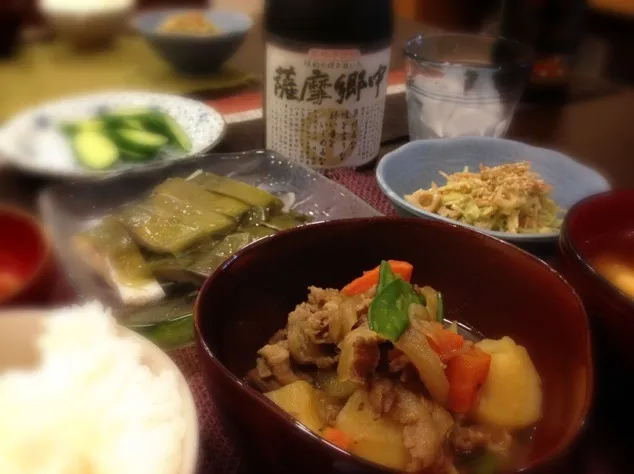 肉じゃが、シメサバ、根菜とキャベツのサラダ、豆腐の味噌汁、イカの塩辛、きゅうりのぬか漬け|masakoさん