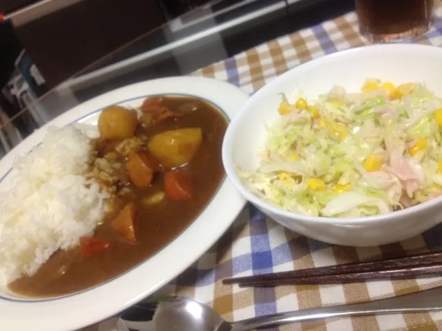 カレーライス、コールスロー|食いしん坊もりもりさん