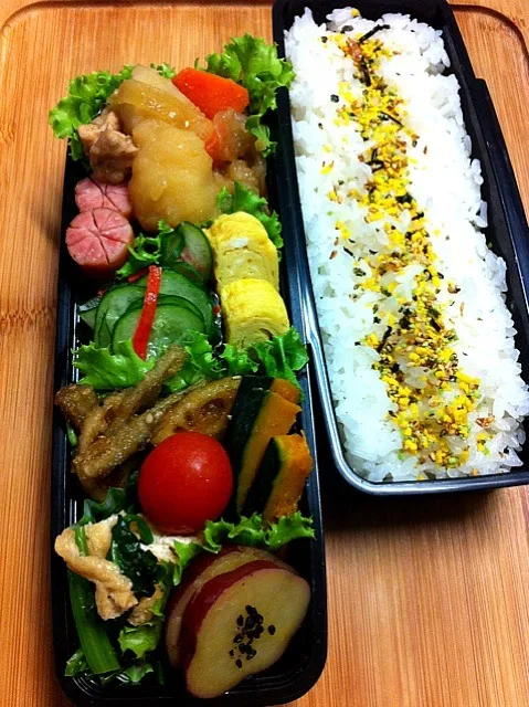 今日のパパのお弁当。|＊みお＊さん