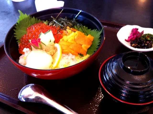 Snapdishの料理写真:下関で食べたイクラとウニの海鮮丼|Ayaさん