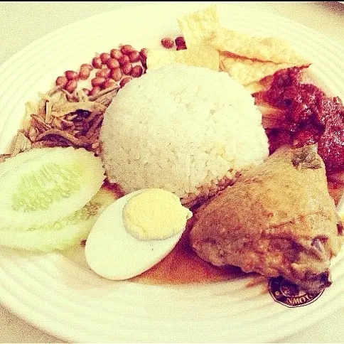 nasi lemak.|Gavin Teoさん