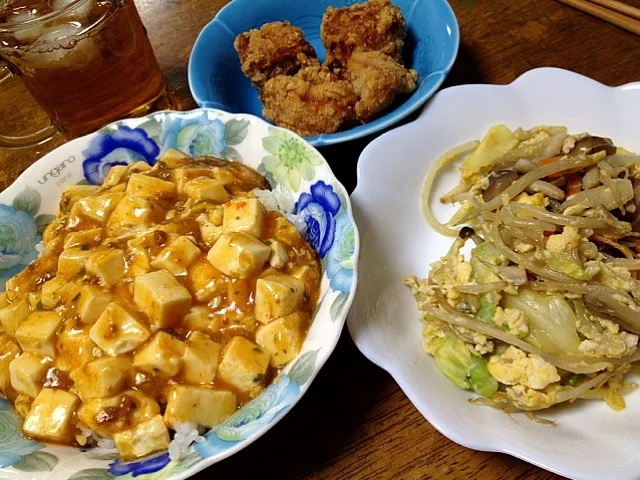 麻婆豆腐丼と仲間たち|Kojiさん