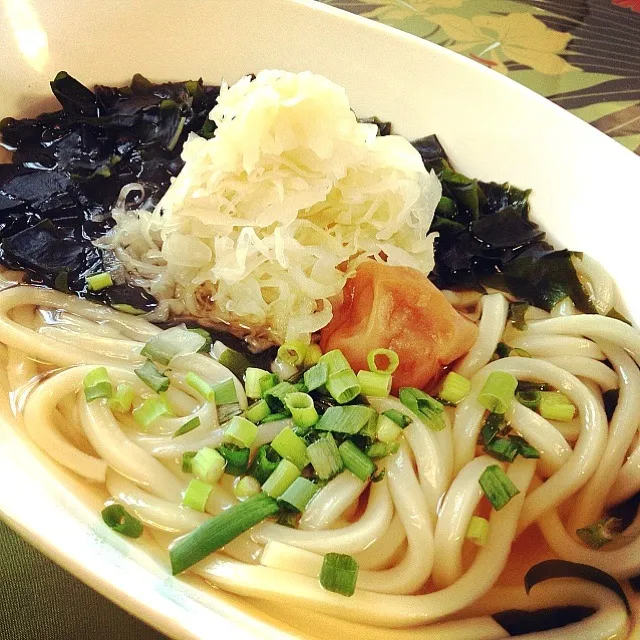 朝からワカメうどん|志野さん