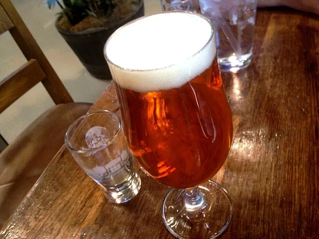 Stone Ruination IPA|chan mitsuさん