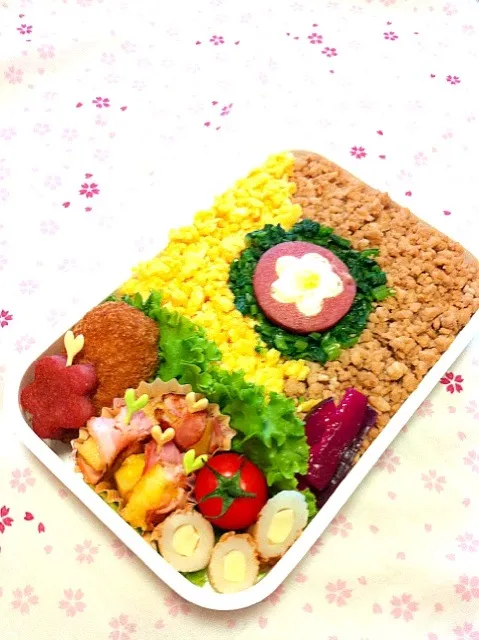 今日の息子のお弁当2012/10/28|ミホさん