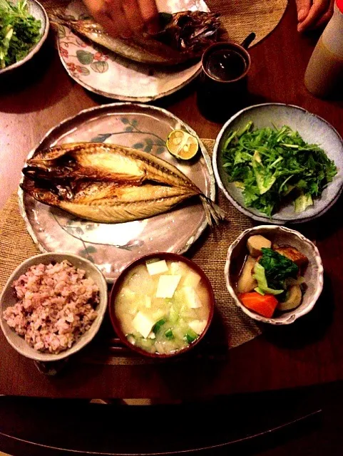 鯖の一夜干し/煮物(里芋,ニンジン,生椎茸,さつま揚げ)/グリーンサラダ(水菜,胡瓜,春菊)/五穀玄米/味噌汁(豆腐,隼人瓜,大根,ちんげん菜麦味噌,いりこだし)|shokoさん