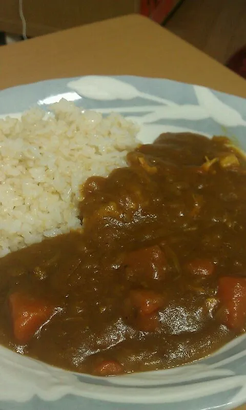 カレー|のすけZさん