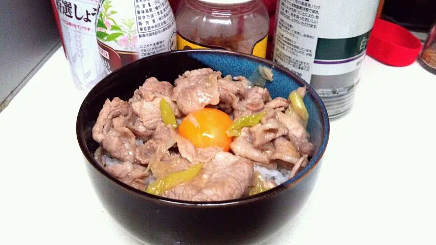 Snapdishの料理写真:ネギ味噌豚丼|Numajiriさん