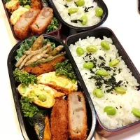 Snapdishの料理写真:ワカサギの唐揚げ、栗入りコロッケのお弁当