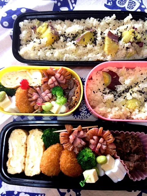 ２人弁当🍁お芋ご飯・出汁巻き卵・牛しぐれ煮・ウインナー・海老カツ・ハンペンとチーズのピンチョス・ブロッコリー|chyawaさん