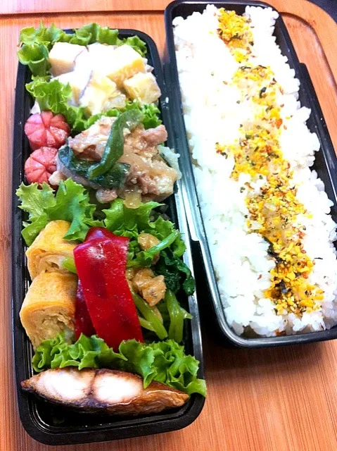 Snapdishの料理写真:パパのお弁当(^ ^)|＊みお＊さん