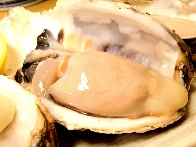 Snapdishの料理写真:Fresh raw oyster|do dyuさん