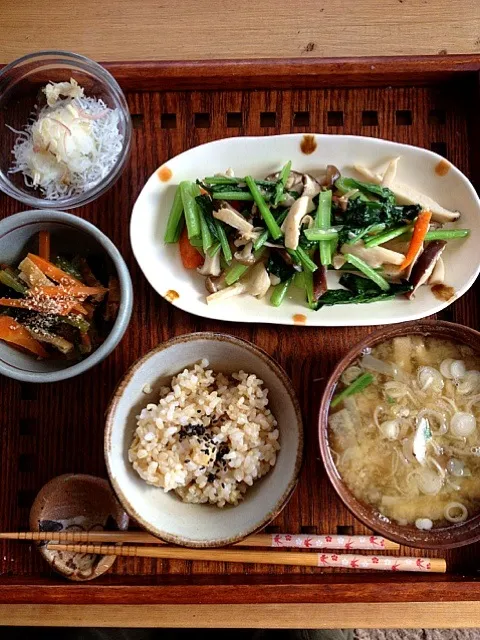 野菜の昼食|まっきーさん