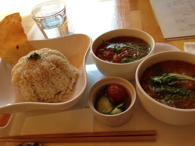 ナスのカレー、チキンカレーのダブルセット|ryu147さん