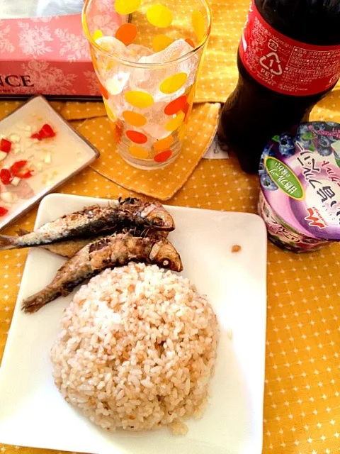 Tuyo&Garlic rice w/ice cold Cola&Blueberry yogurt for my Late Lunch!sana ganto Lagi ang ulam ko!sabik Lang!Lol!:)|Dezza Tsuchiyaさん