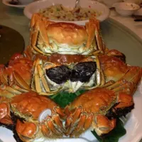 Snapdishの料理写真:Hairy crabs!|Zac Amirさん