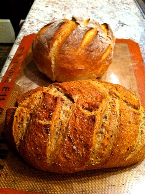 Sourdough Bread|Holly Doranさん