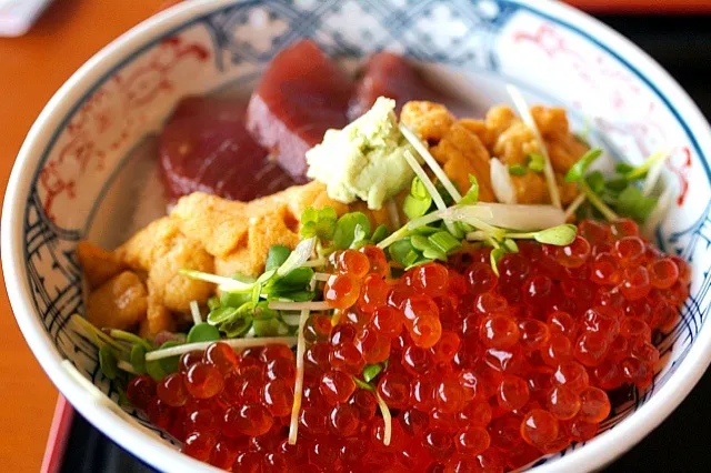 北海道の道の駅で食べたウニ&イクラ丼|ビールママさん