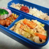 Snapdishの料理写真:豚肉もりもり野菜炒め弁当|ぷりんぱんさん