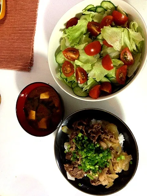 Snapdishの料理写真:牛丼・サラダ・豆腐とワカメの味噌汁|りあママさん