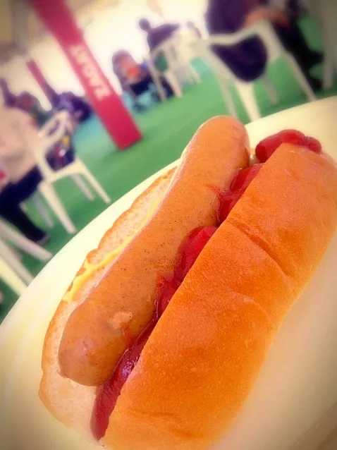 ホットドック@TOKYO DESIGNERS WEEK2012|tobutoriさん