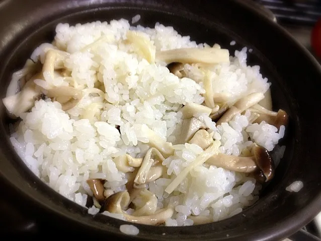 塩茸混ぜ御飯🍚|炊かれたいオトコ おこん 小栁津さん