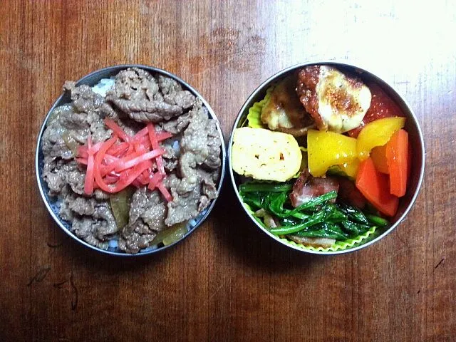 Snapdishの料理写真:牛丼弁当|キヨシュンさん