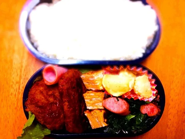 Snapdishの料理写真:ハンバーグ弁当|小野香苗さん