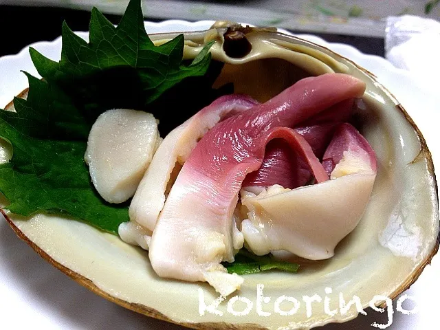 北寄貝|コトさん