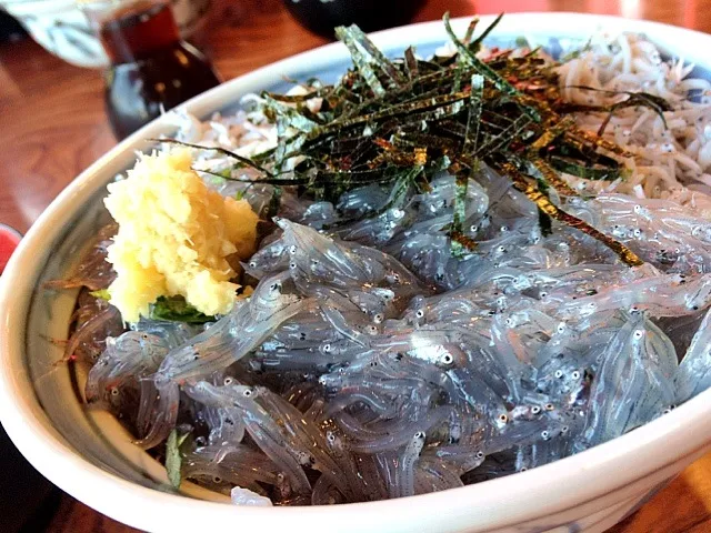 しらす丼|チカさん