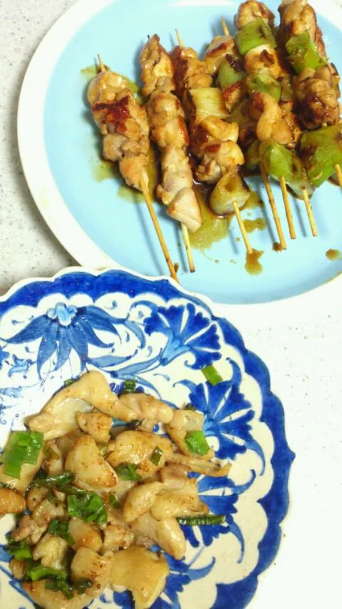 焼鳥と鶏皮塩焼きと|ともさん